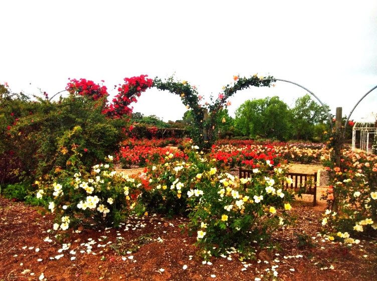 Australian Inland Botanic Gardens , Australia
